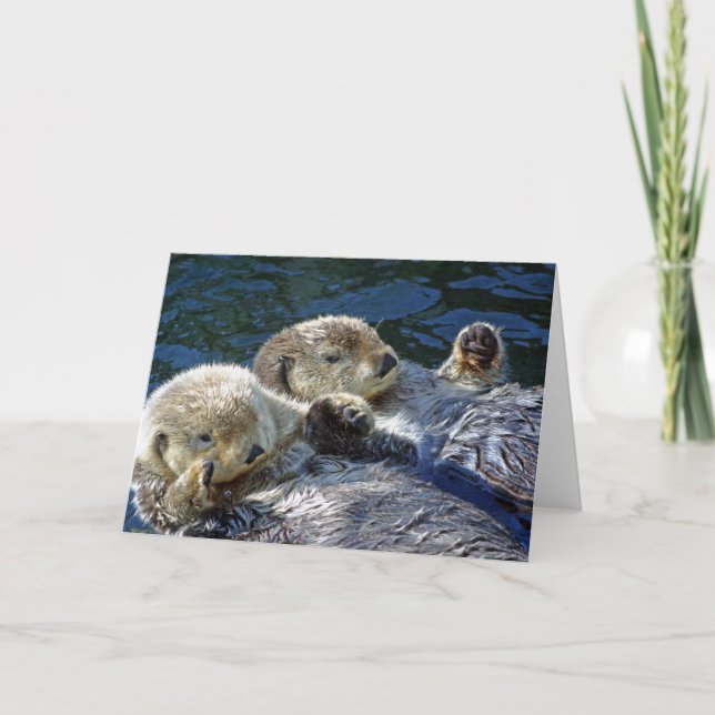 Carte de loutres de mer (Devant)