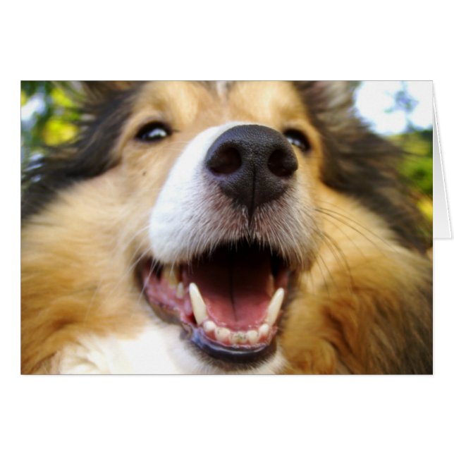 Carte de Maggie (Devant horizontal)