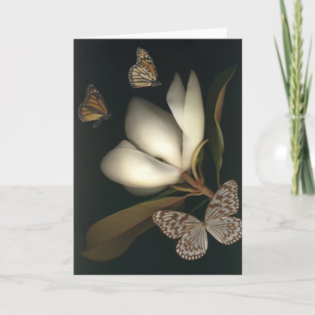 carte de magnolia et de note butterflies1 (Devant)