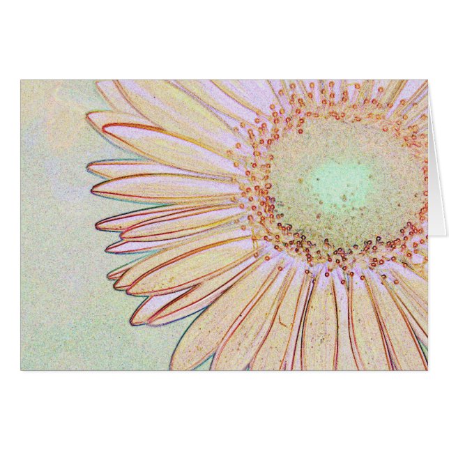 Carte de marguerite de Gerbera (Devant horizontal)