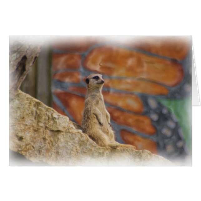 Carte de Meerkat (Devant horizontal)