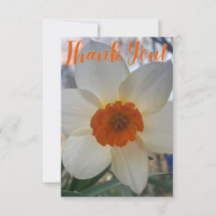 Carte de Merci en Z