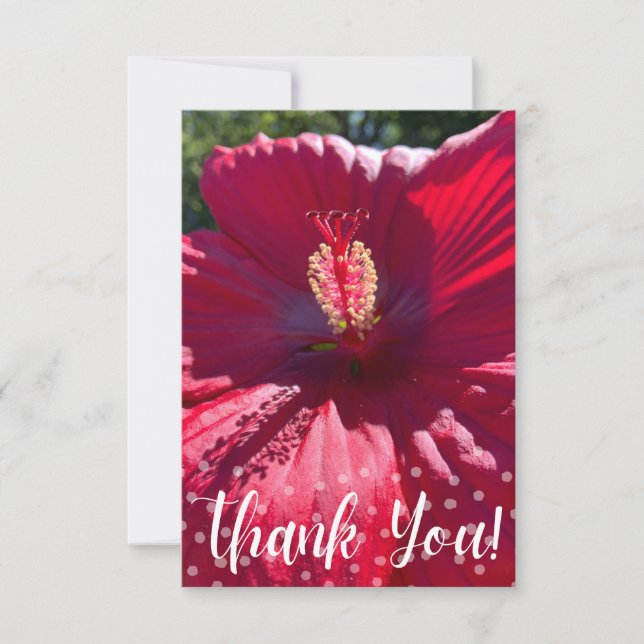 Carte de Merci en Z (Devant)