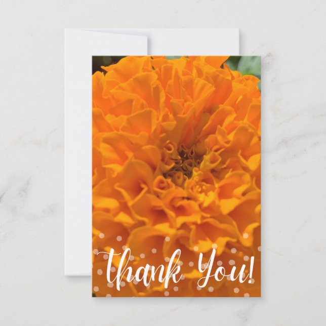 Carte de Merci en Z (Devant)