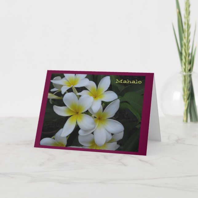 Carte de Merci (Mahalo) - cascade blanche de (Devant)