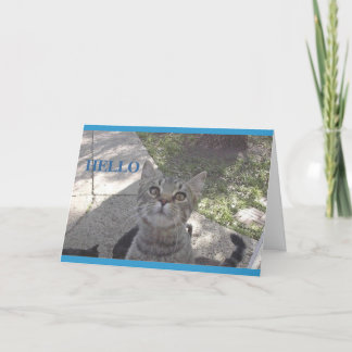 Carte de minou de Mlle You