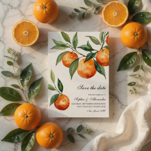Carte de mise en garde Citrus Orange Méditerrané