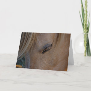 Carte de modèle de carte blanche Cheval