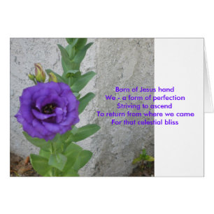 Carte de naissance de Jésus