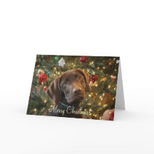Carte de Noël