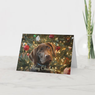 Carte de Noël