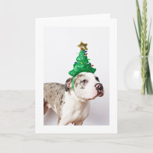 Carte de Noël (Devant)