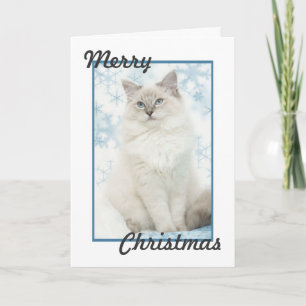 carte de noël