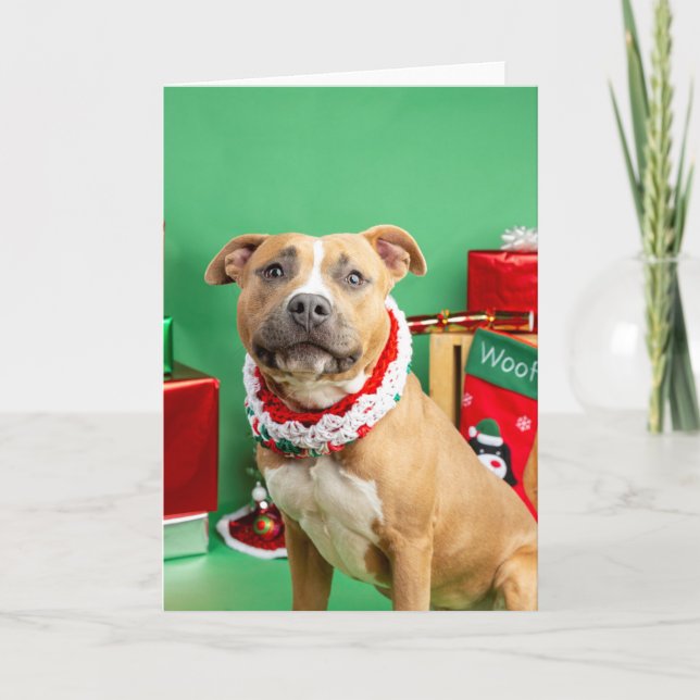 Carte de Noël (Devant)