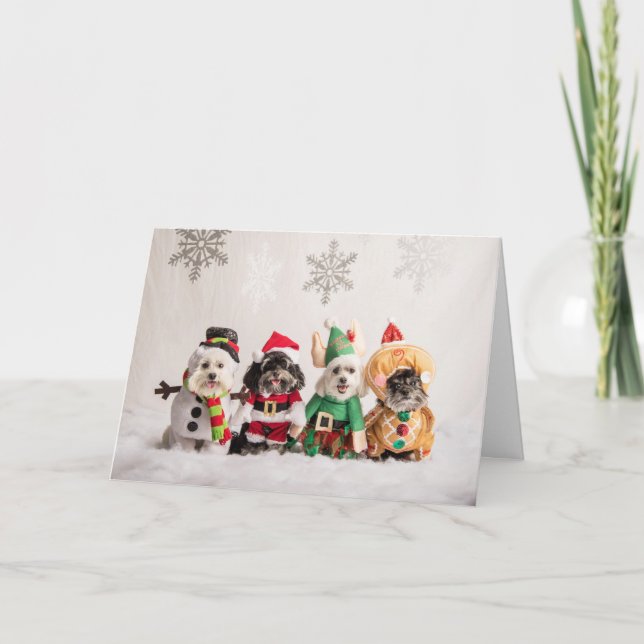  Carte de Noël (Devant)