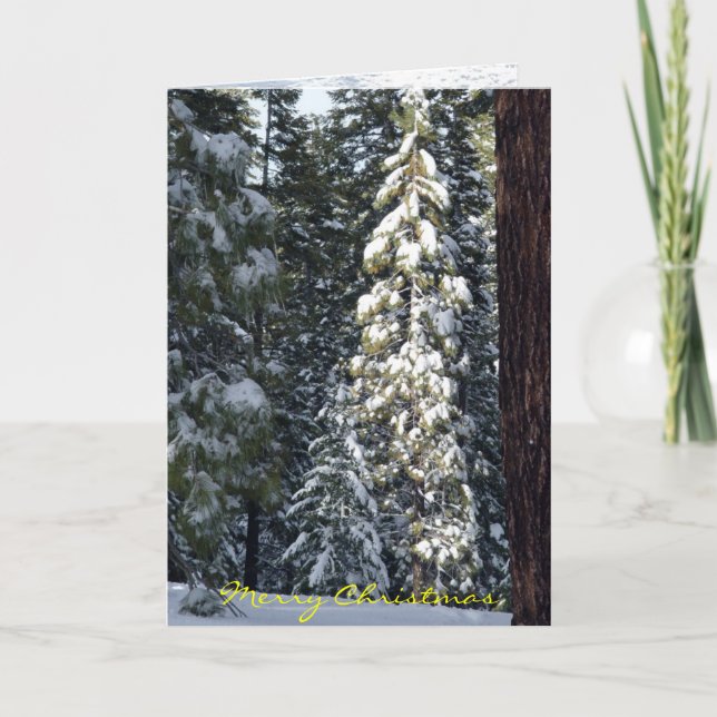 Carte de Noël 2006 (Devant)