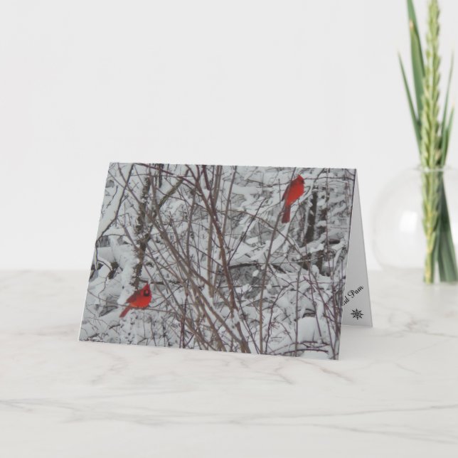 Carte de Noël 2 Cardinaux 5x7 (Devant)