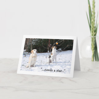 Carte de Noël, 2 chiens dans la neige regardant