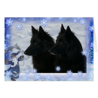 Carte de Noël 2 Groenendaelers