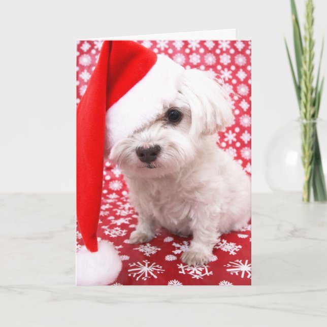 Carte de Noël à chiot (Devant)
