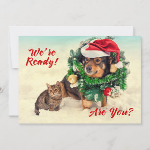 Carte de Noël à deux faces pour chat et chien
