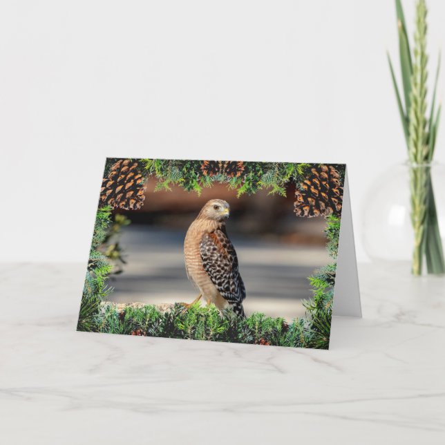 Carte de Noël à Hawk à épaulettes (Devant)