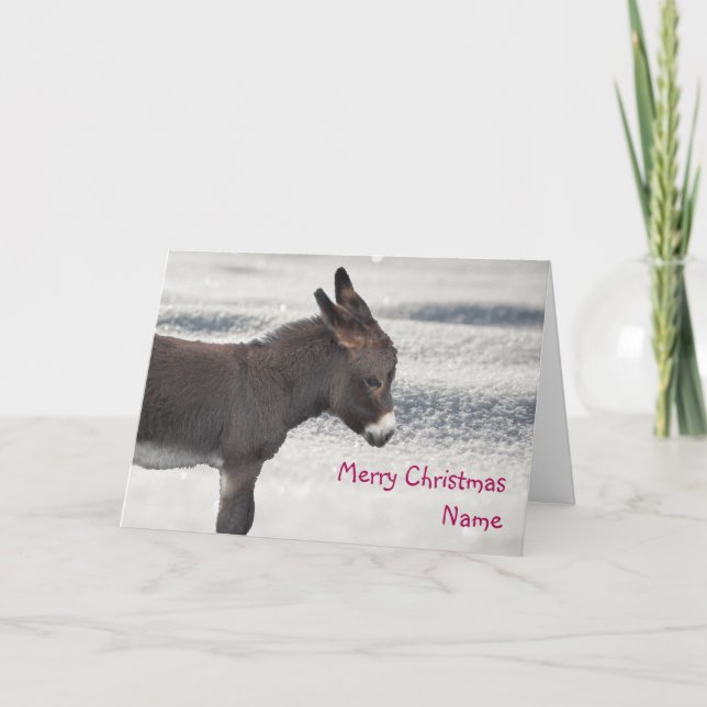 Carte de Noël à l'âne de chocolat (Devant)