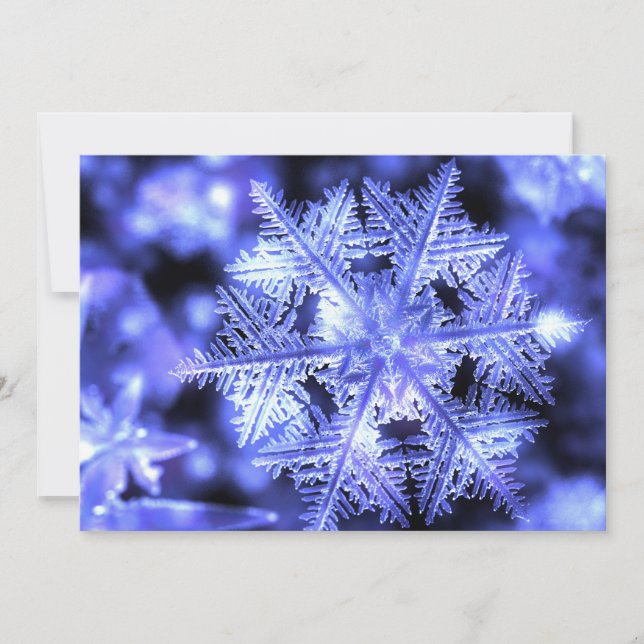Carte de Noël à plat pour l'hiver (Devant)