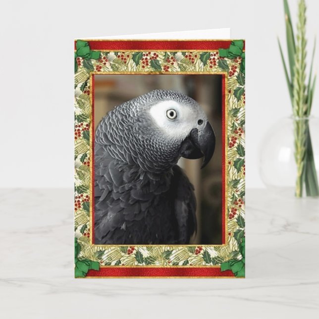Carte de Noël African Grey Parrot (Devant)