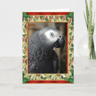 Carte de Noël African Grey Parrot