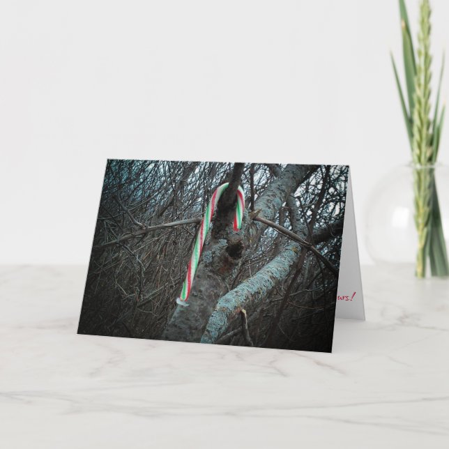 Carte de Noël "Alimagnet Candy Cane" (Devant)