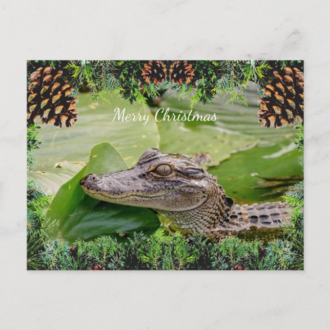 Carte de Noël Alligator (Devant)