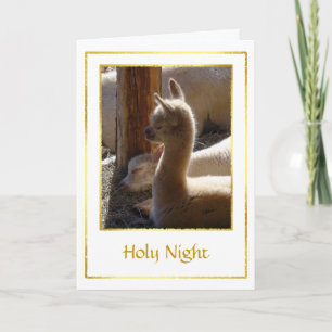 Carte de Noël Alpaca Cria