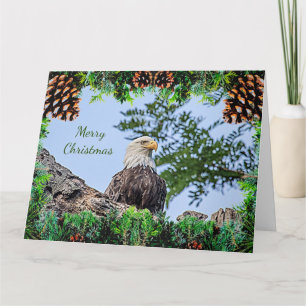 Carte de Noël American Bald Eagle