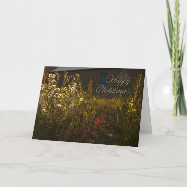 Carte de Noël amusante (Devant)