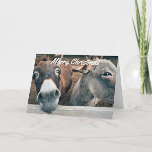 Carte de Noël amusante - Donkey