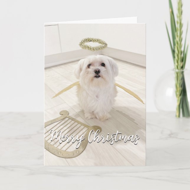 Carte de Noël ange de chien maltais élégant (Devant)