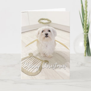 Carte de Noël ange de chien maltais élégant