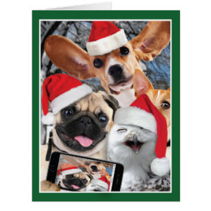 Carte de Noël animale de Selfie de vacances