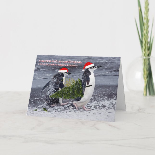Carte de Noël Antarctique Beach (Devant)