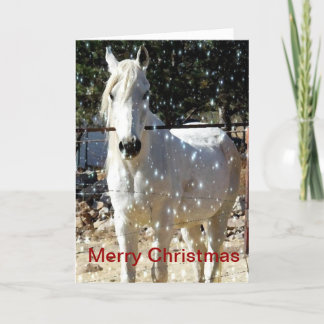 Carte de Noël Arabian Horse