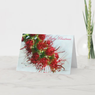 Carte de Noël australienne