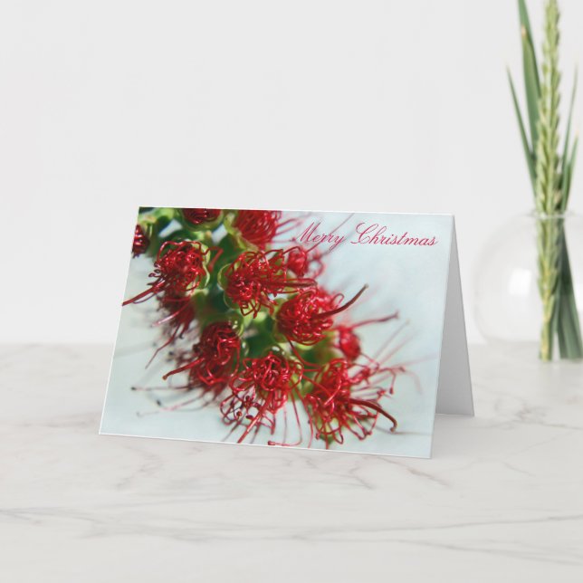 Carte de Noël australienne (Devant)