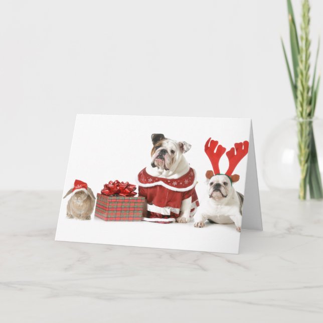 CARTE DE NOËL AVEC BOULEDOGUES ET LAPIN (Devant)