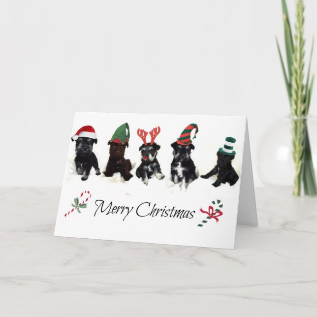 Carte de Noël avec des chiots de Schnauzer (Devant)