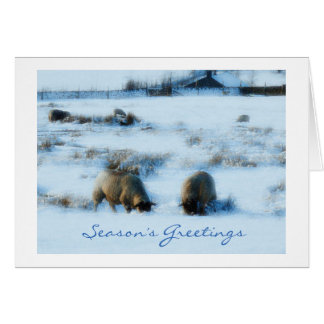 Carte de Noël avec des moutons dans la neige