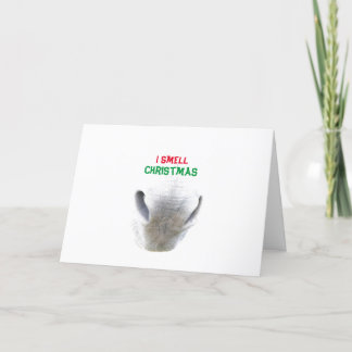 Carte de Noël avec nez d'âne