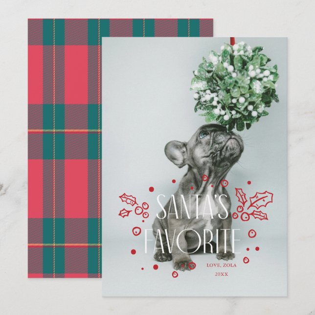 Carte de Noël avec photo de l'animal de compagnie  (Devant / Derrière)