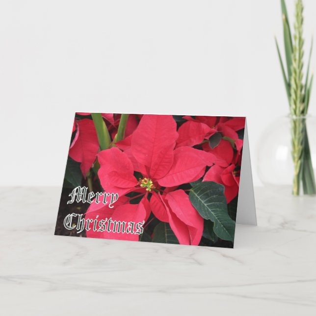 Carte de Noël avec Poinsettias et Joyeux Noël (Devant)