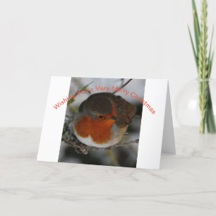 Carte de Noël avec Robin